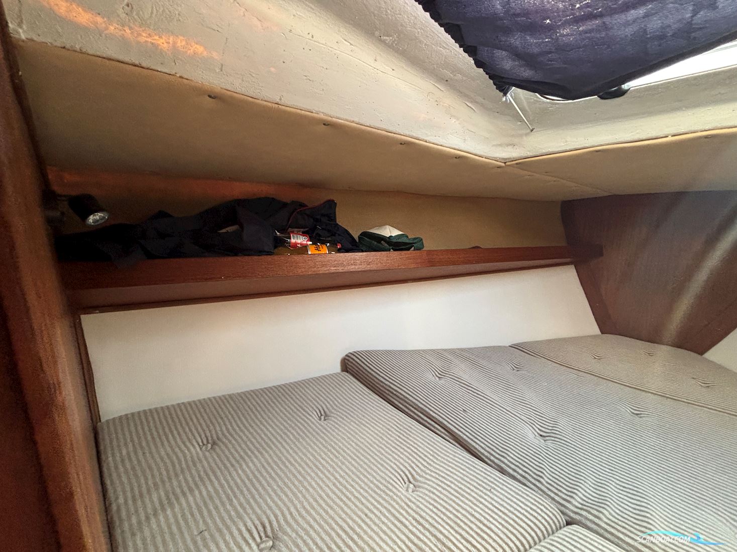 Sunwind 31
