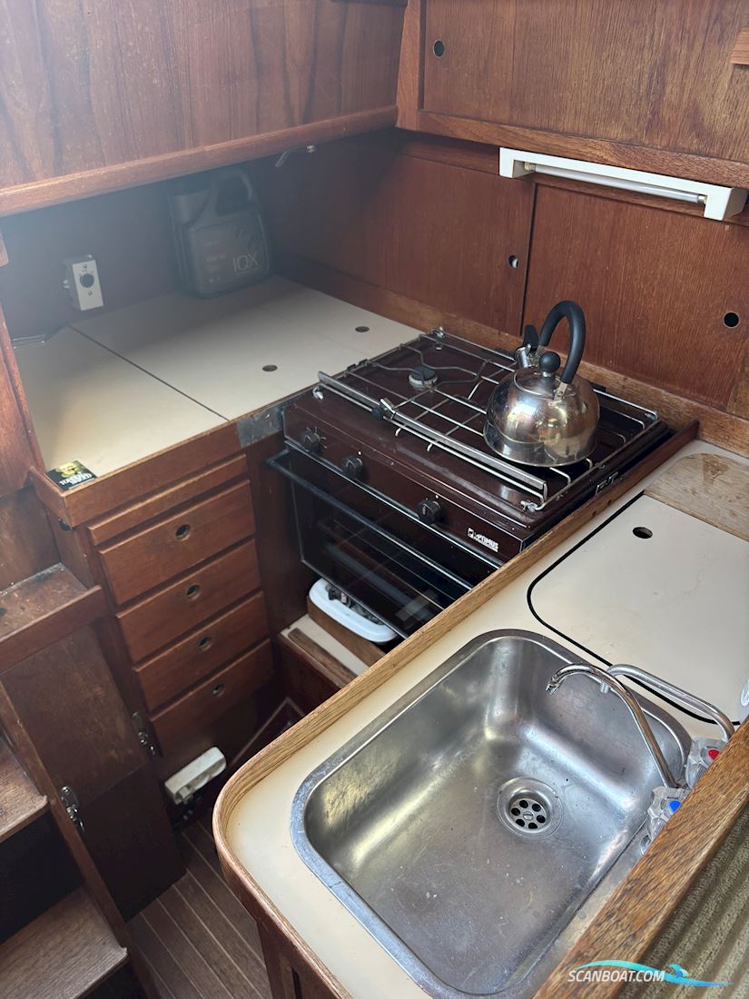 Sunwind 31