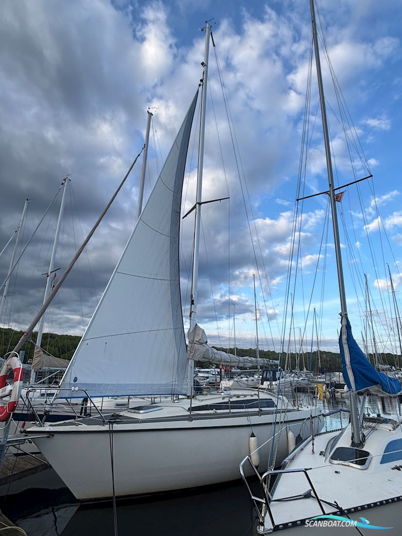 Sunwind 31