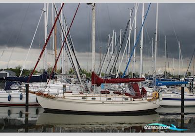 Tayana 37 Zeilboten 1983, met Yanmar 3QM30 motor, The Netherlands