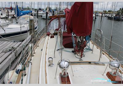 Tayana 37 Zeilboten 1983, met Yanmar 3QM30 motor, The Netherlands