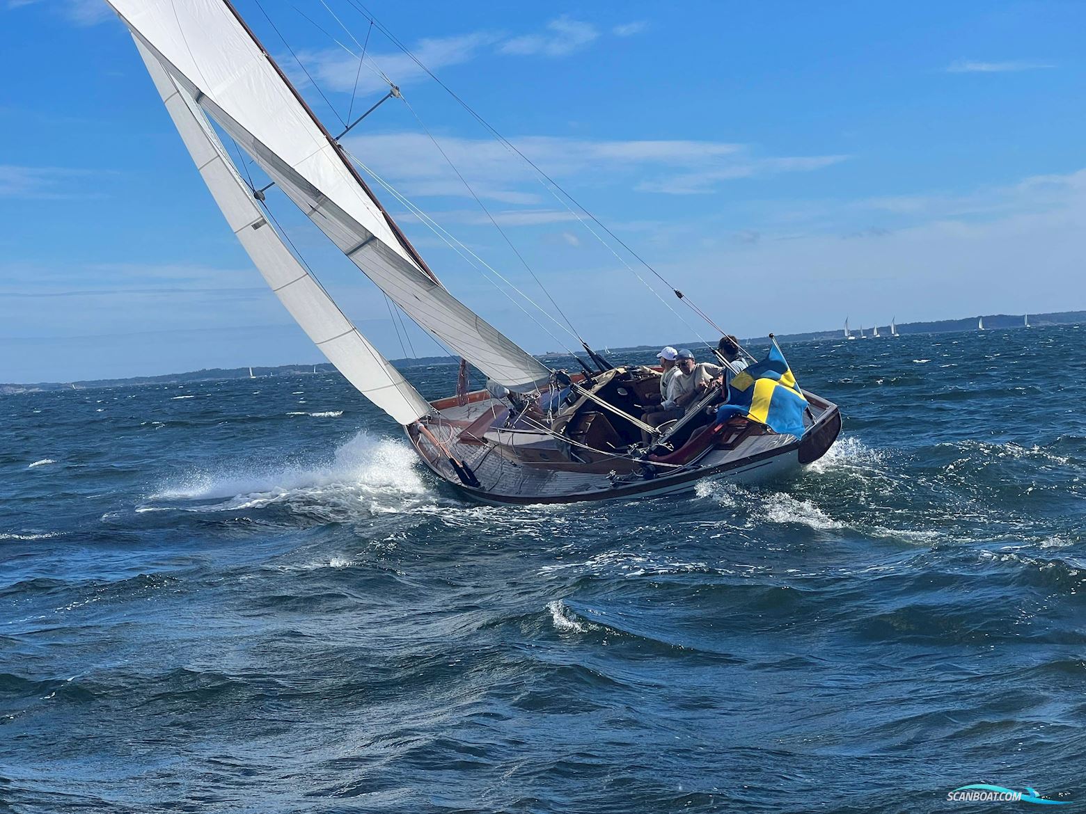 Tore Holm Velella