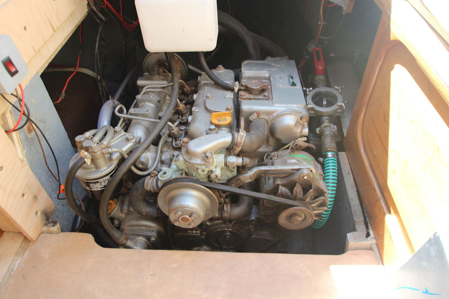 Tornado 31