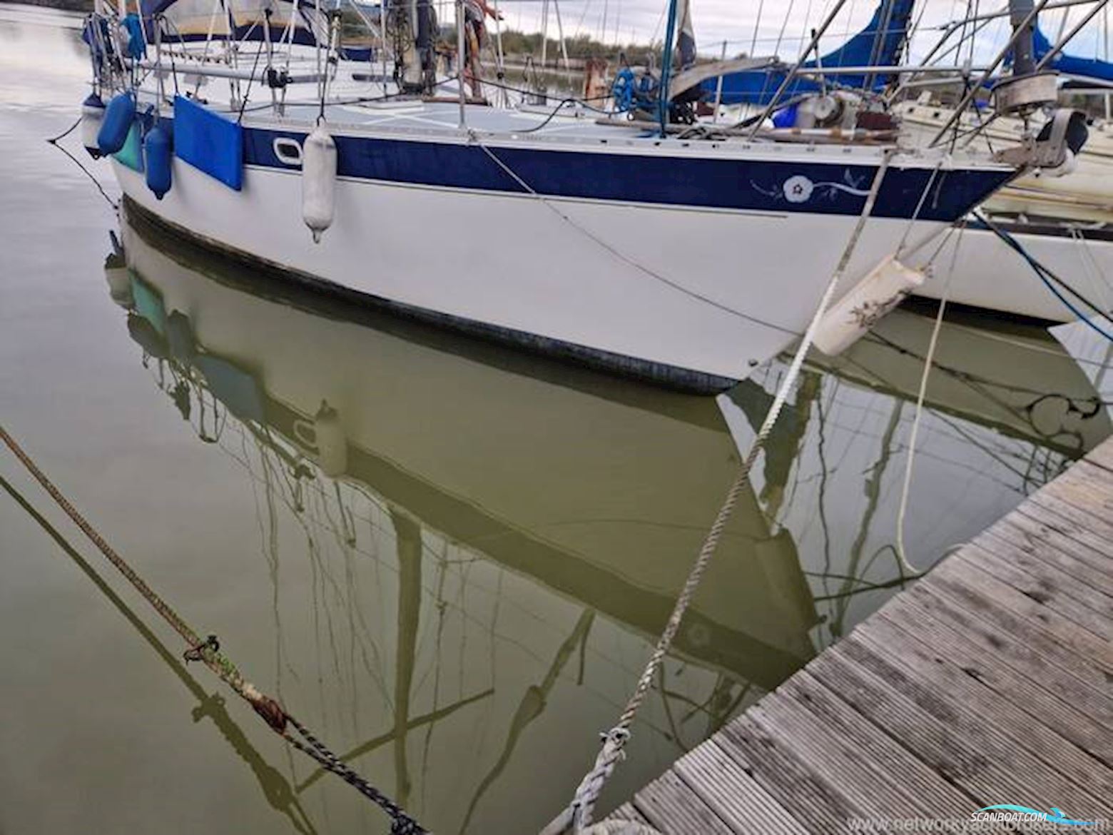 Trident Marine UK Warrior 40