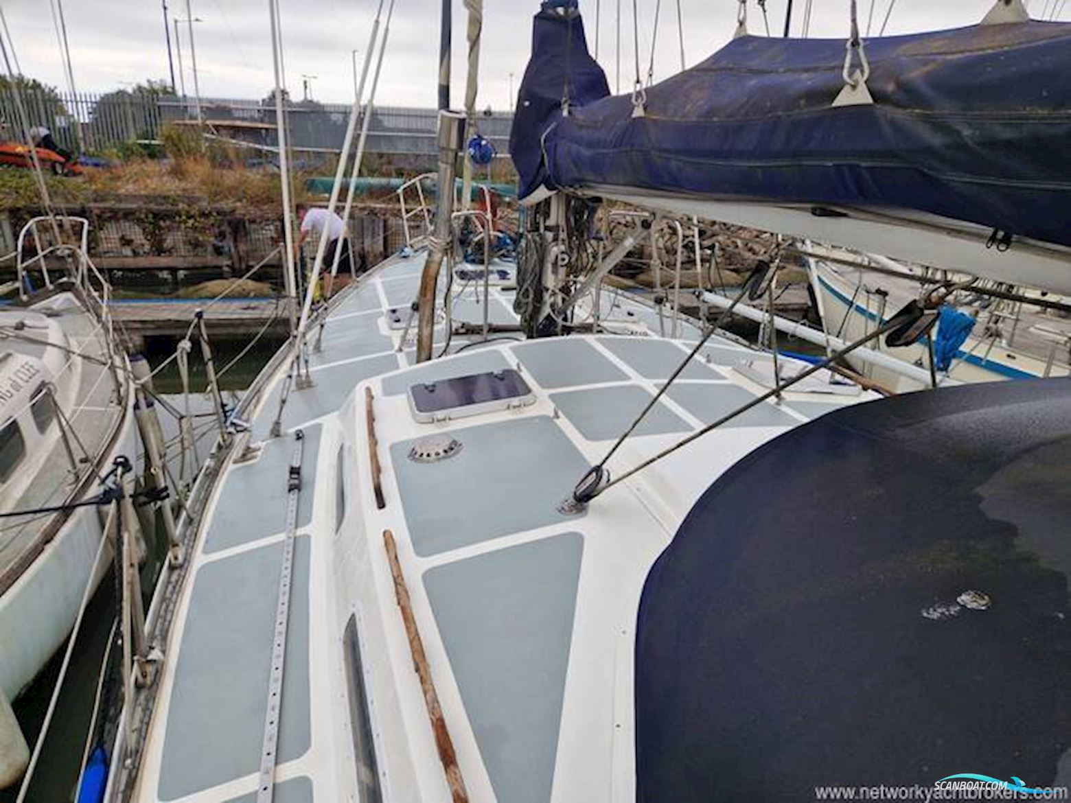 Trident Marine UK Warrior 40