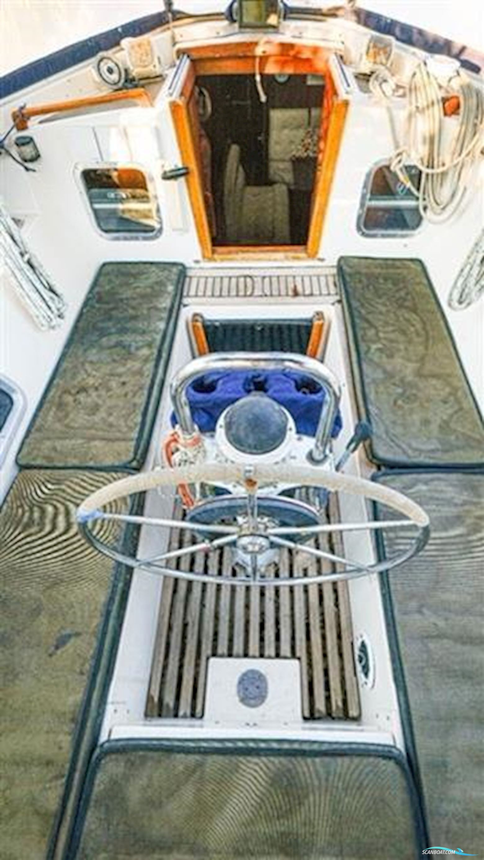 TRIDENT MARINE WARRIOR 38