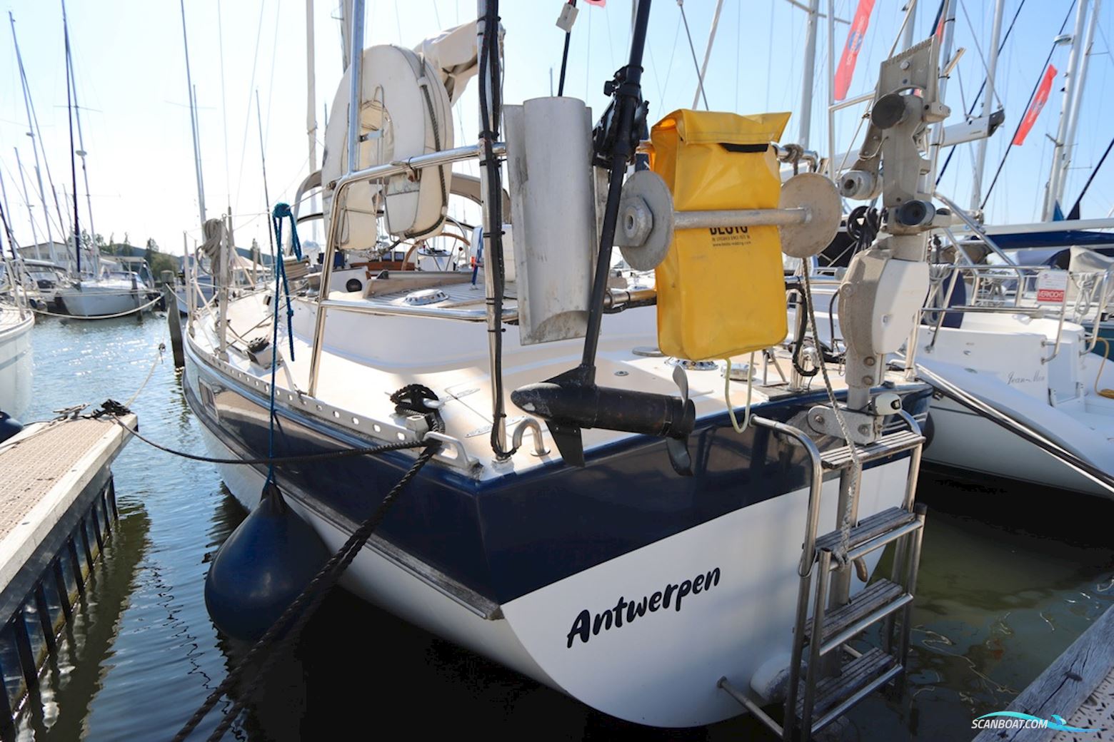 Trintella  38