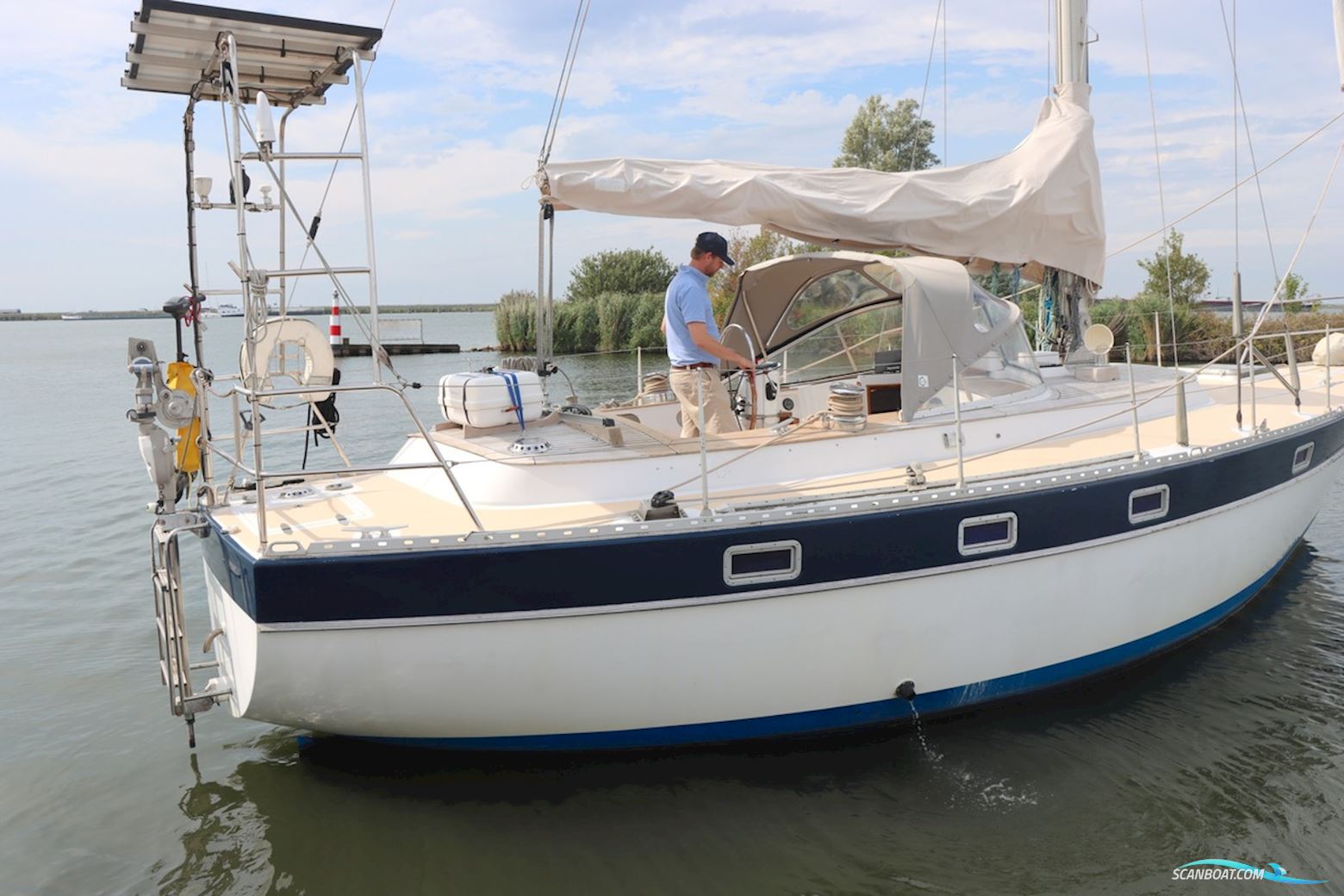 Trintella 38