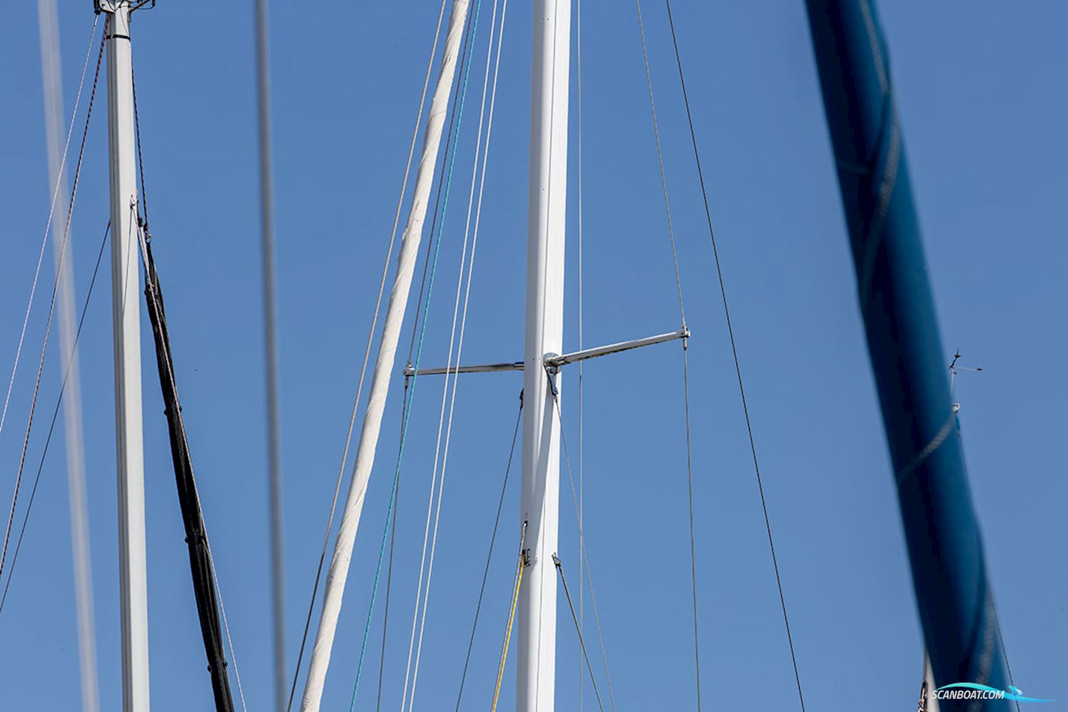 Trintella 42