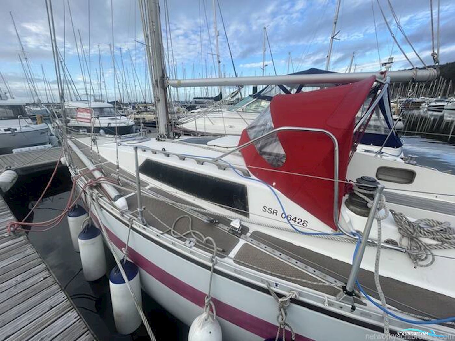 Tyler Boat Co. 31