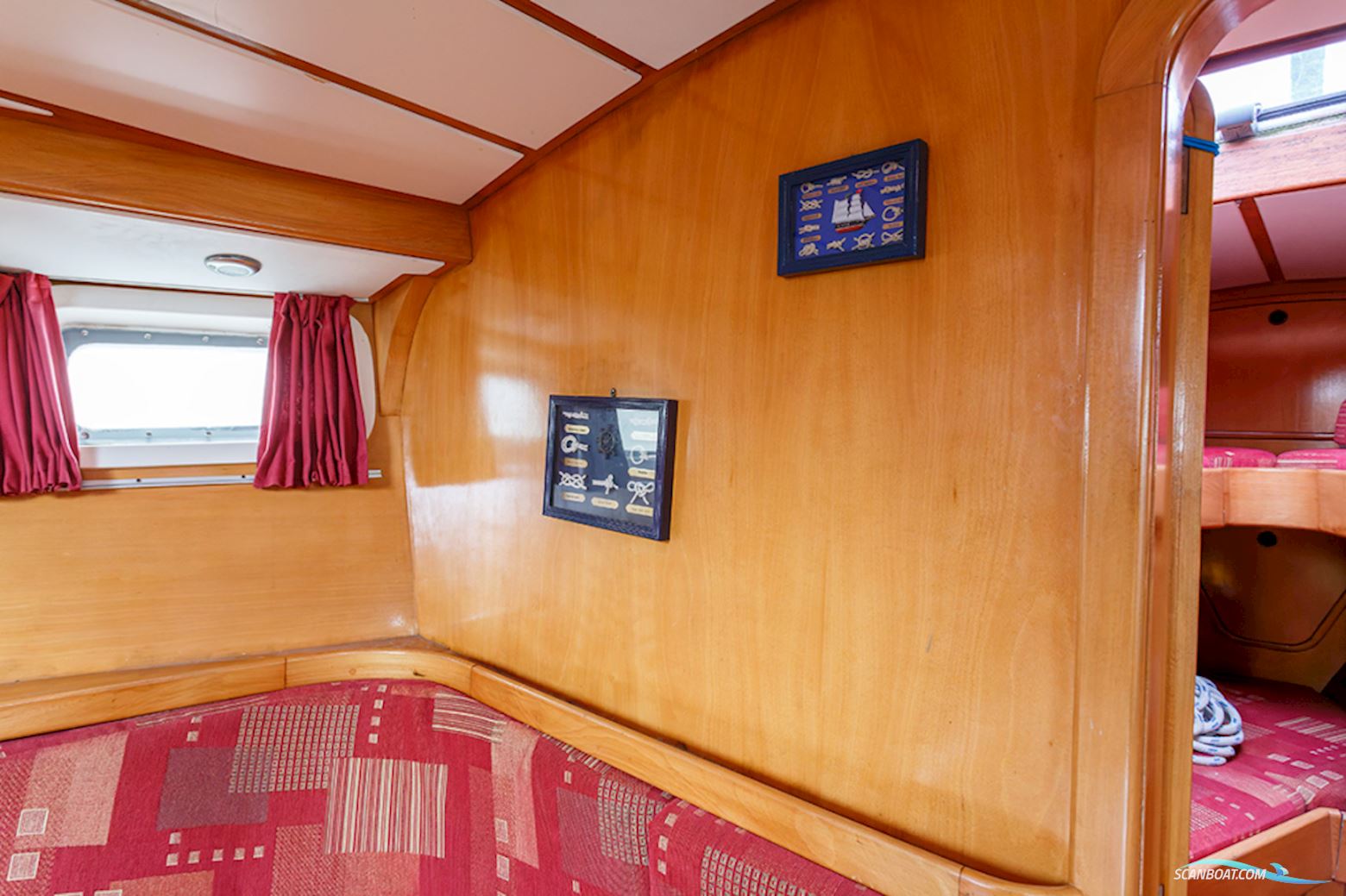 van de Stadt 36 Zeehond