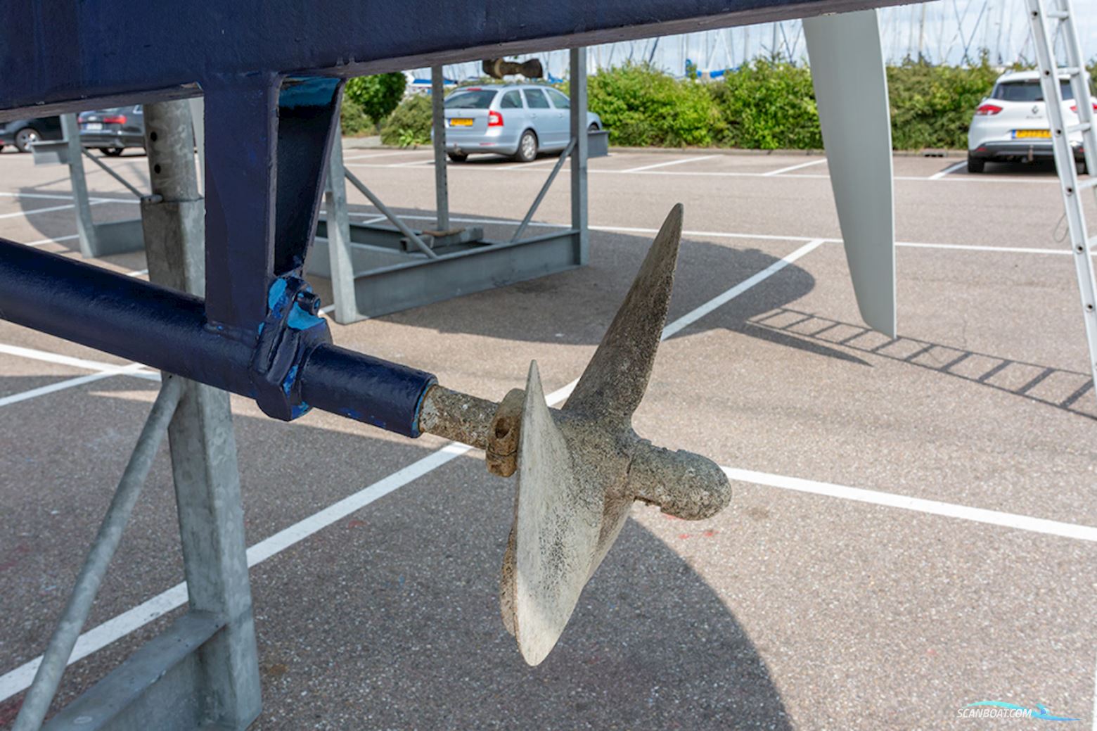 van de Stadt 36 Zeehond