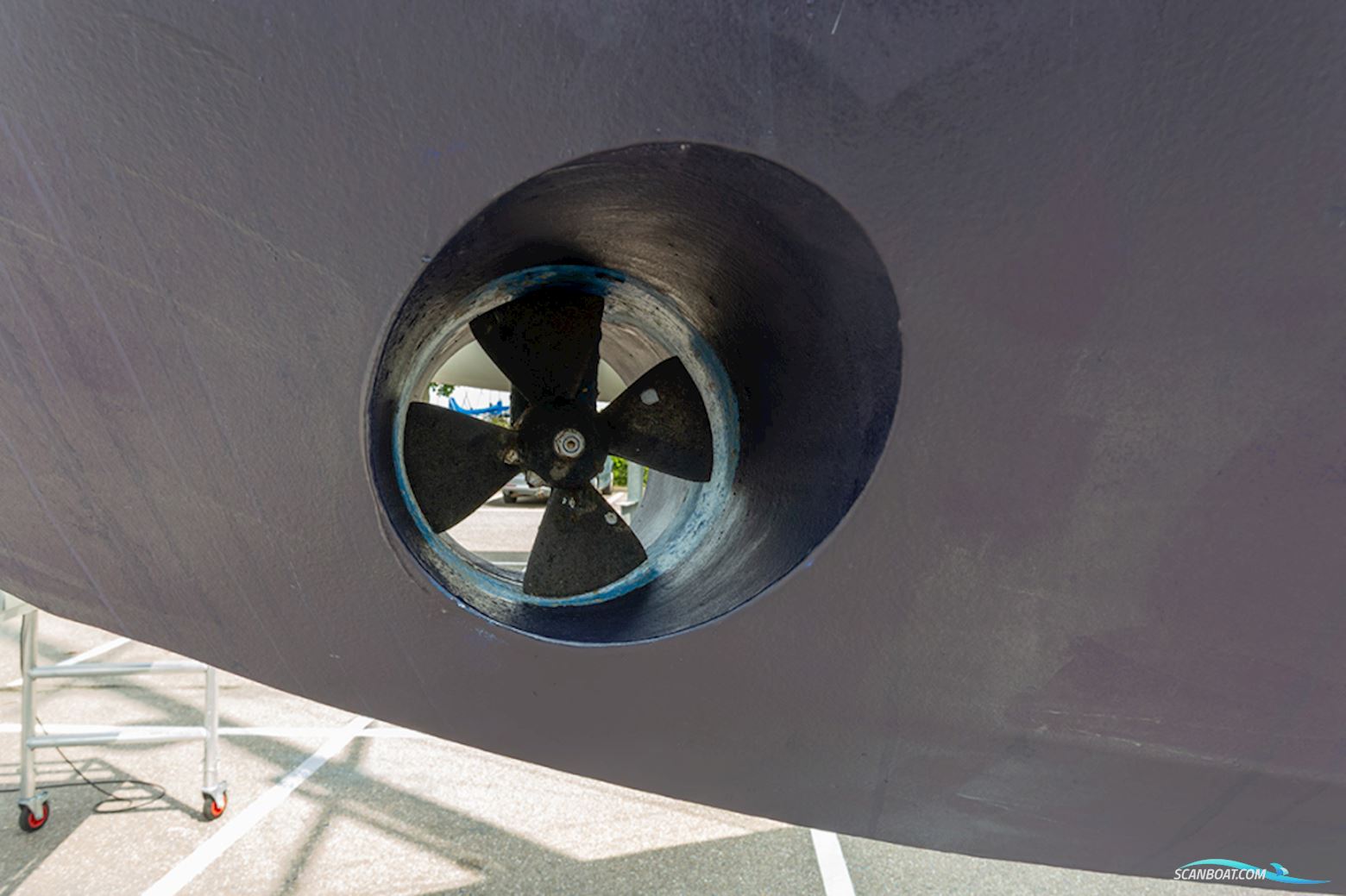 van de Stadt 36 Zeehond