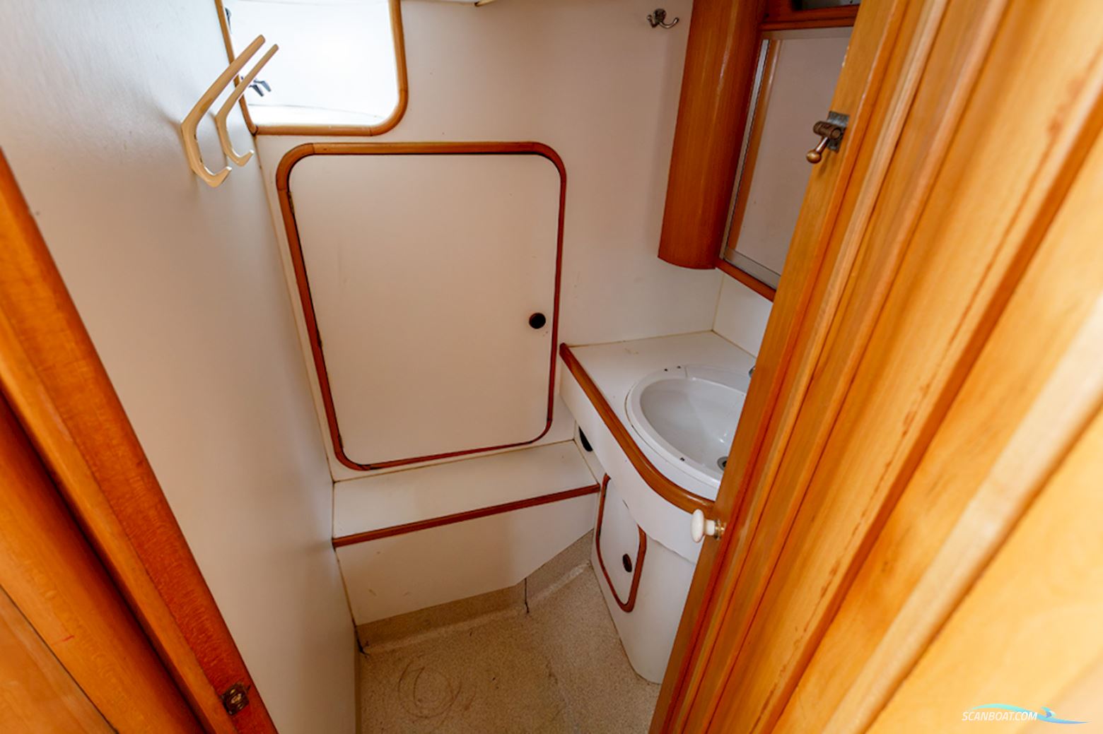 van de Stadt 36 Zeehond