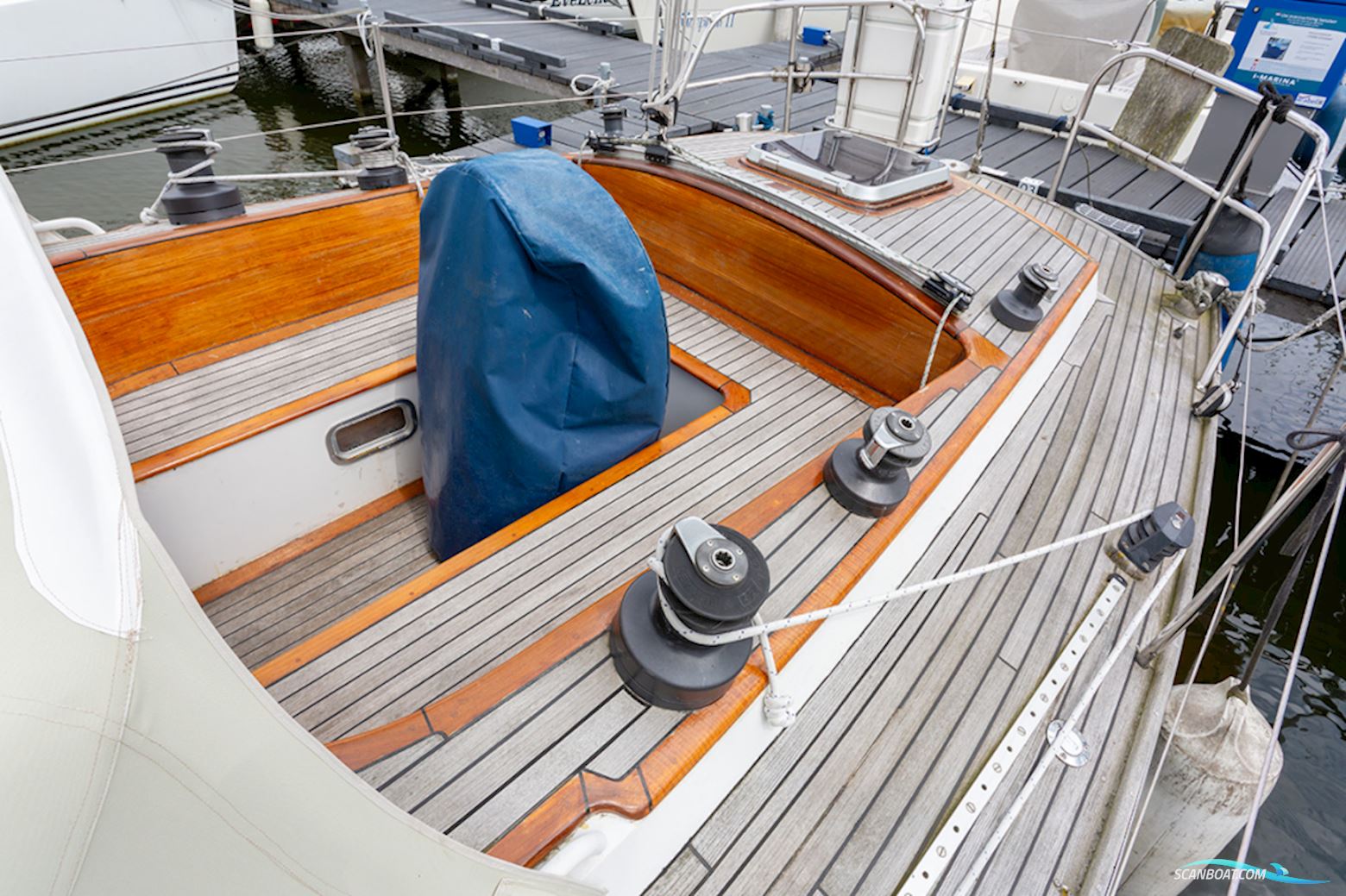 Van de Stadt 36 Zeehond