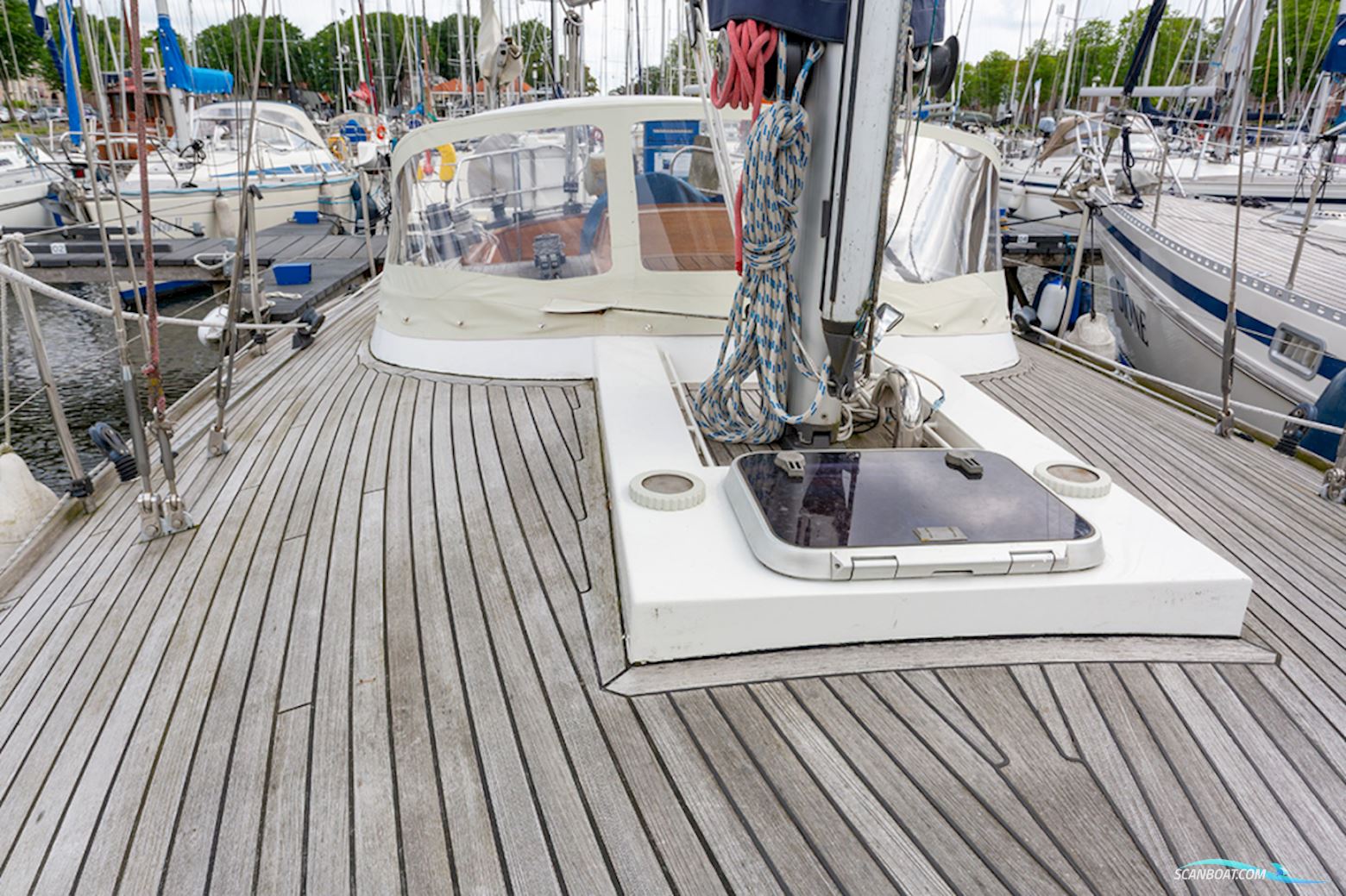 Van de Stadt 36 Zeehond