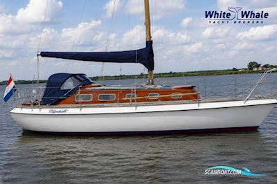 Vindo 40 Zeilboten 1977, met Volvo Penta motor, The Netherlands