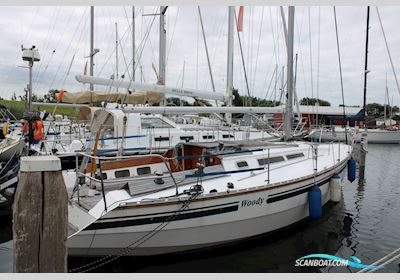 Waarschip 10.76 Zeilboten 1989, met Perkins 1130 motor, The Netherlands