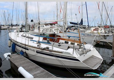 Waarschip 10.76 Zeilboten 1989, met Perkins 1130 motor, The Netherlands