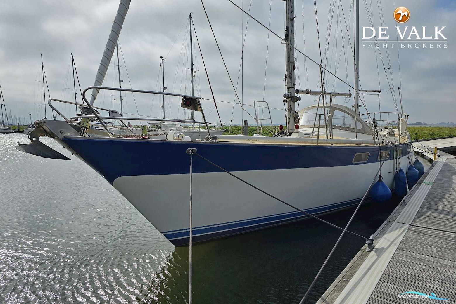 Wauquiez Amphitrite 43