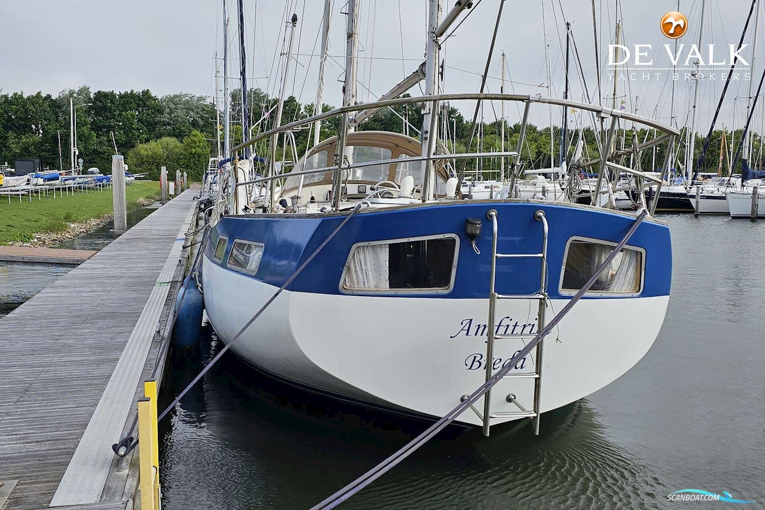 Wauquiez Amphitrite 43