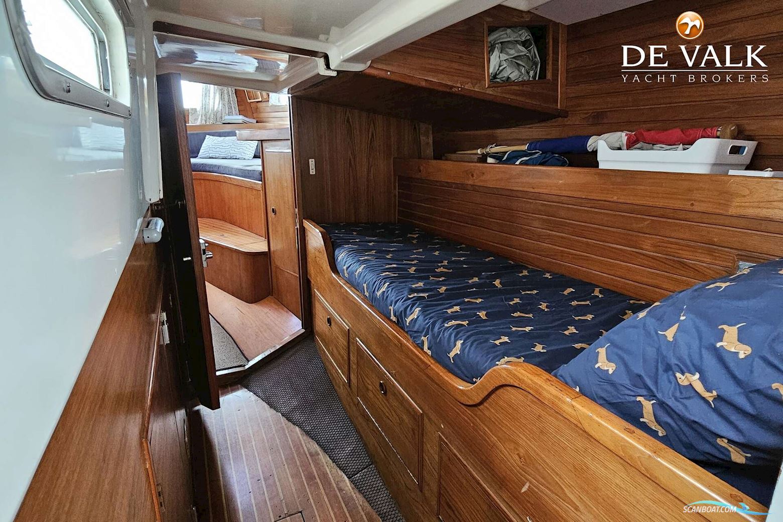 Wauquiez Amphitrite 43