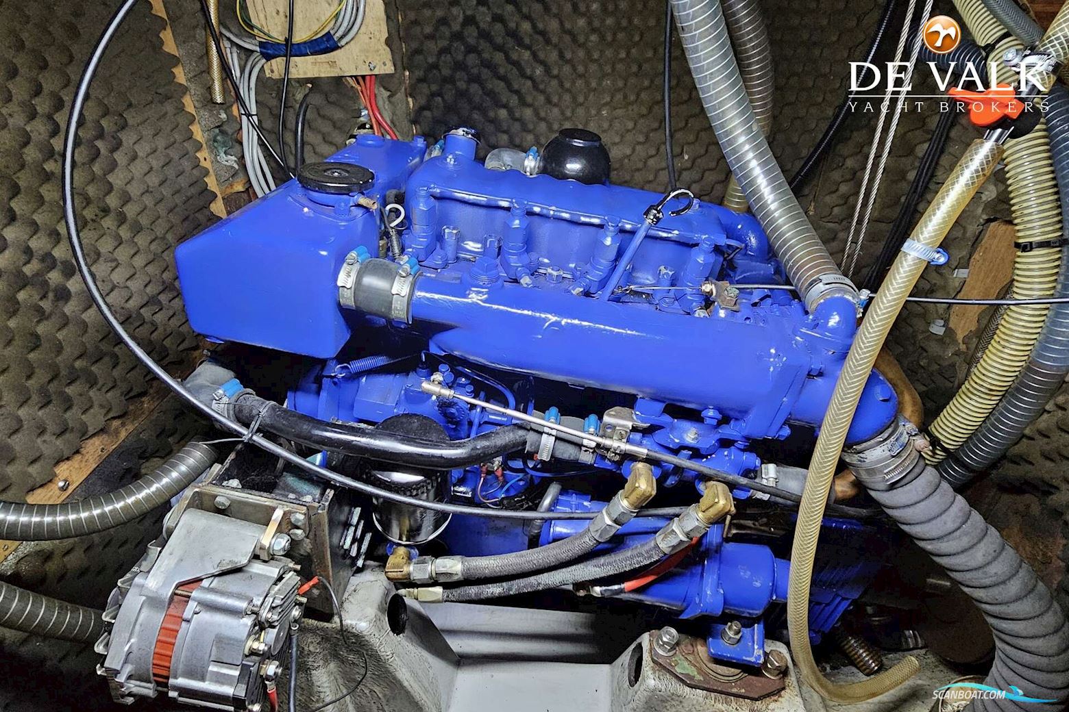 Wauquiez Amphitrite 43