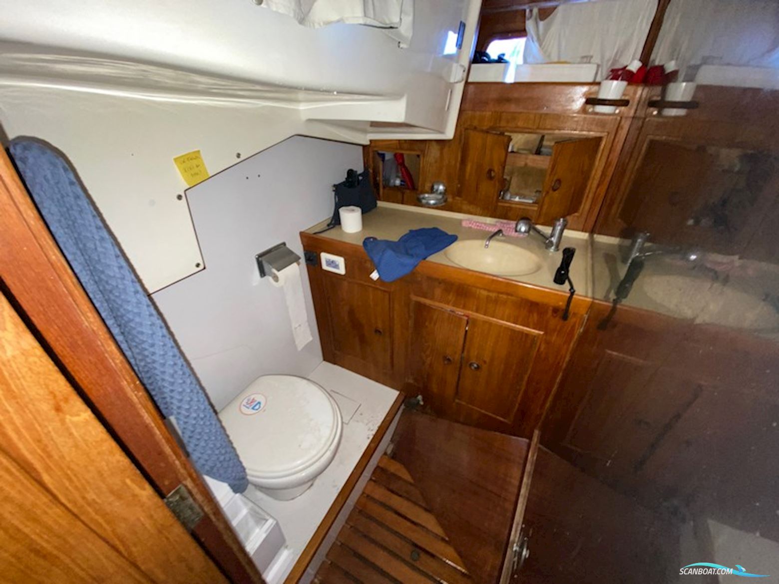 Wauquiez Amphitrite 43