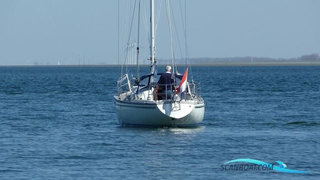 Wauquiez Centurion 32