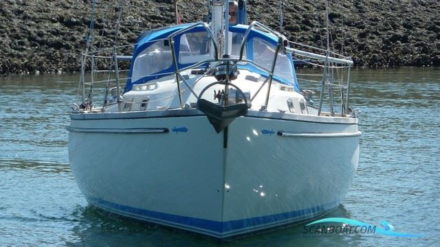 Wauquiez Centurion 32