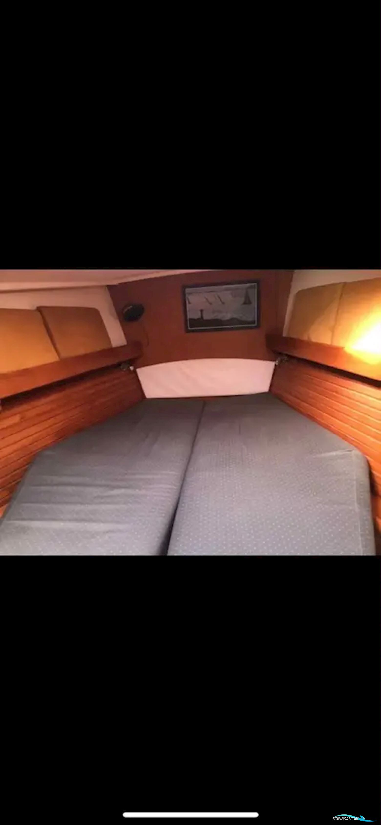 Wauquiez Centurion 49
