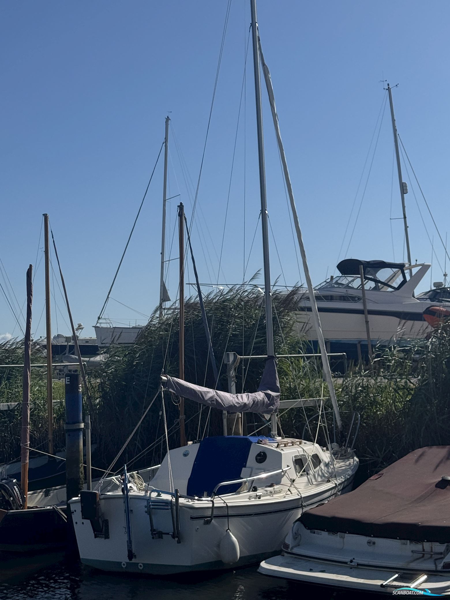 West Wight Potter 19