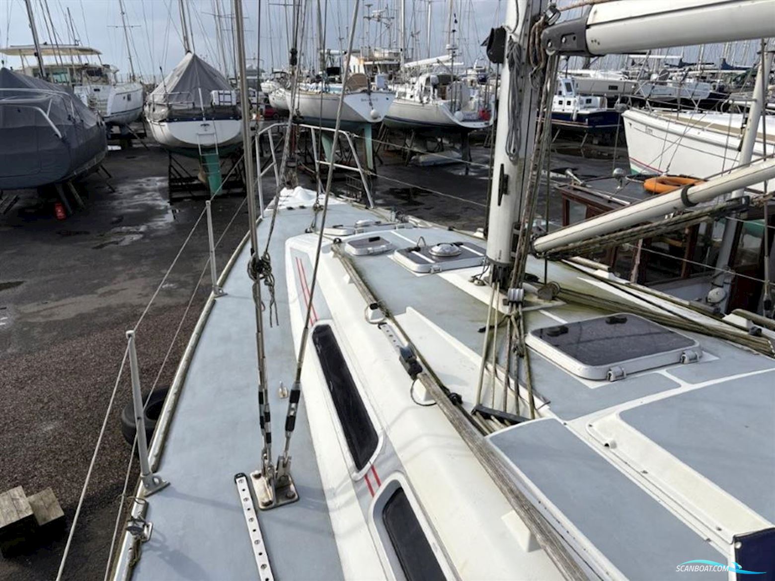 Westerly  Typhoon