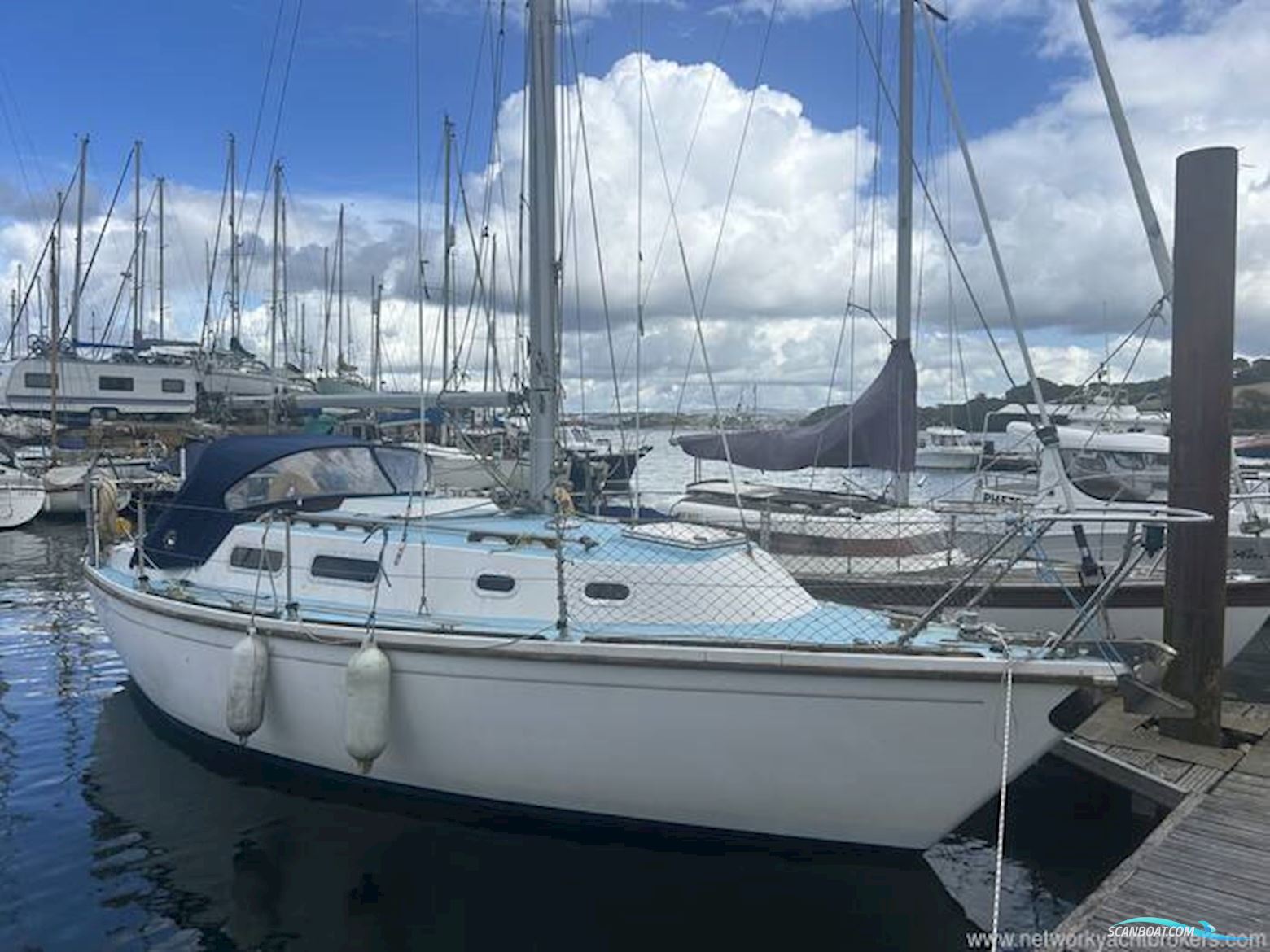 Westerly Griffon