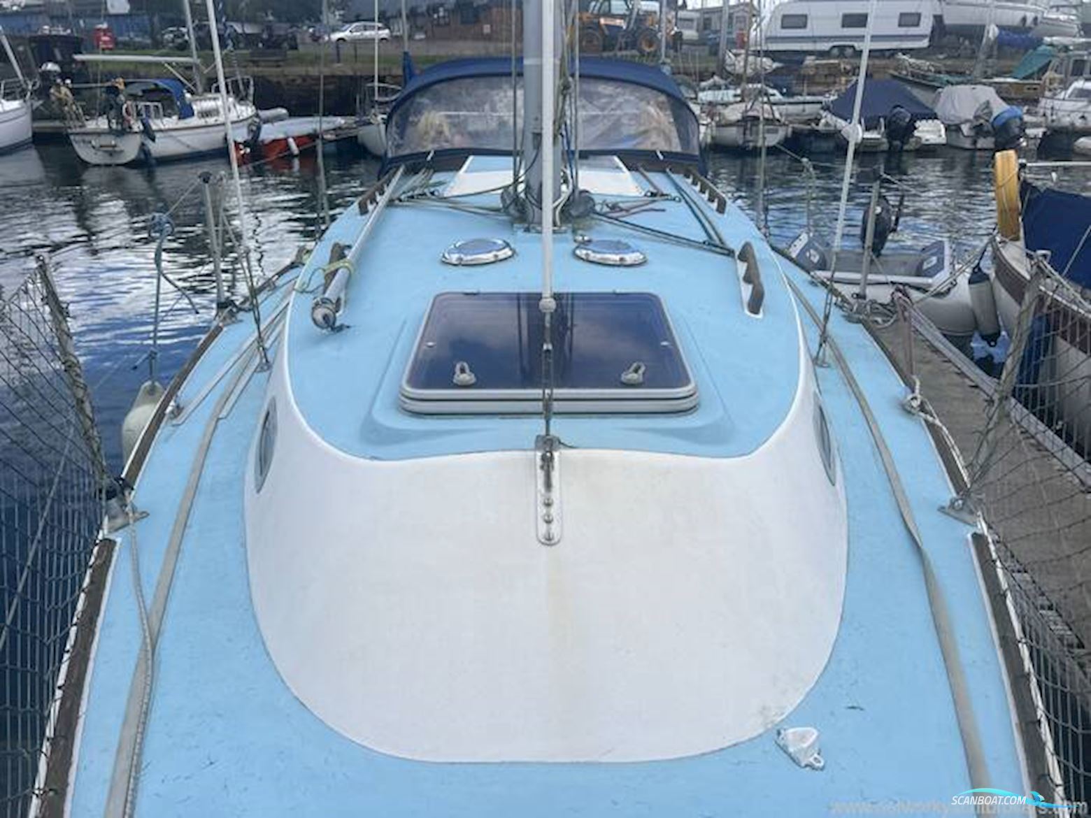 Westerly Griffon