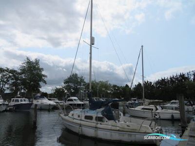 Westerly Pageant Zeilboten 1979, met Sole Mini 17 motor, United Kingdom