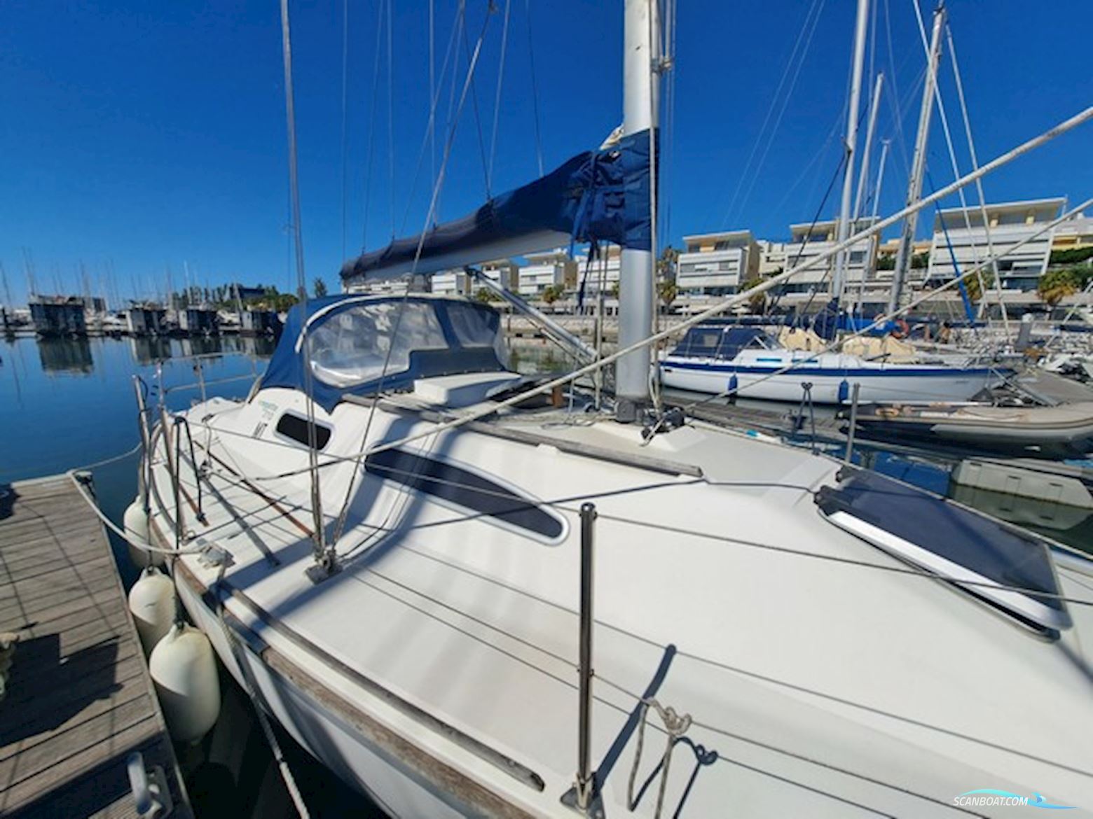 Westerly Regata 310