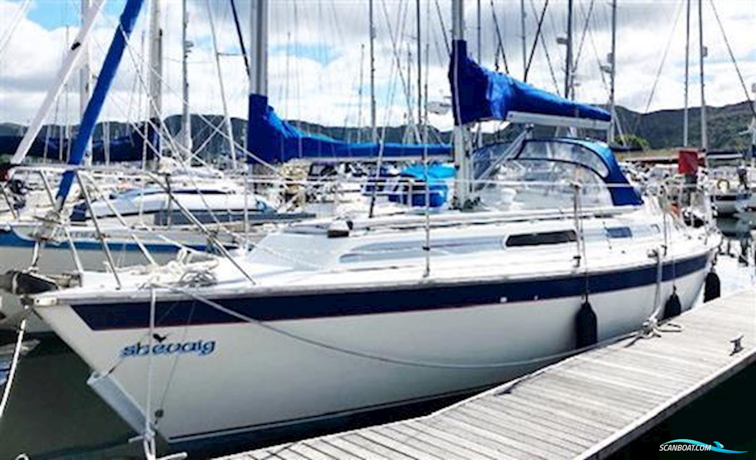 Westerly Seahawk 35 Jubilee Edition