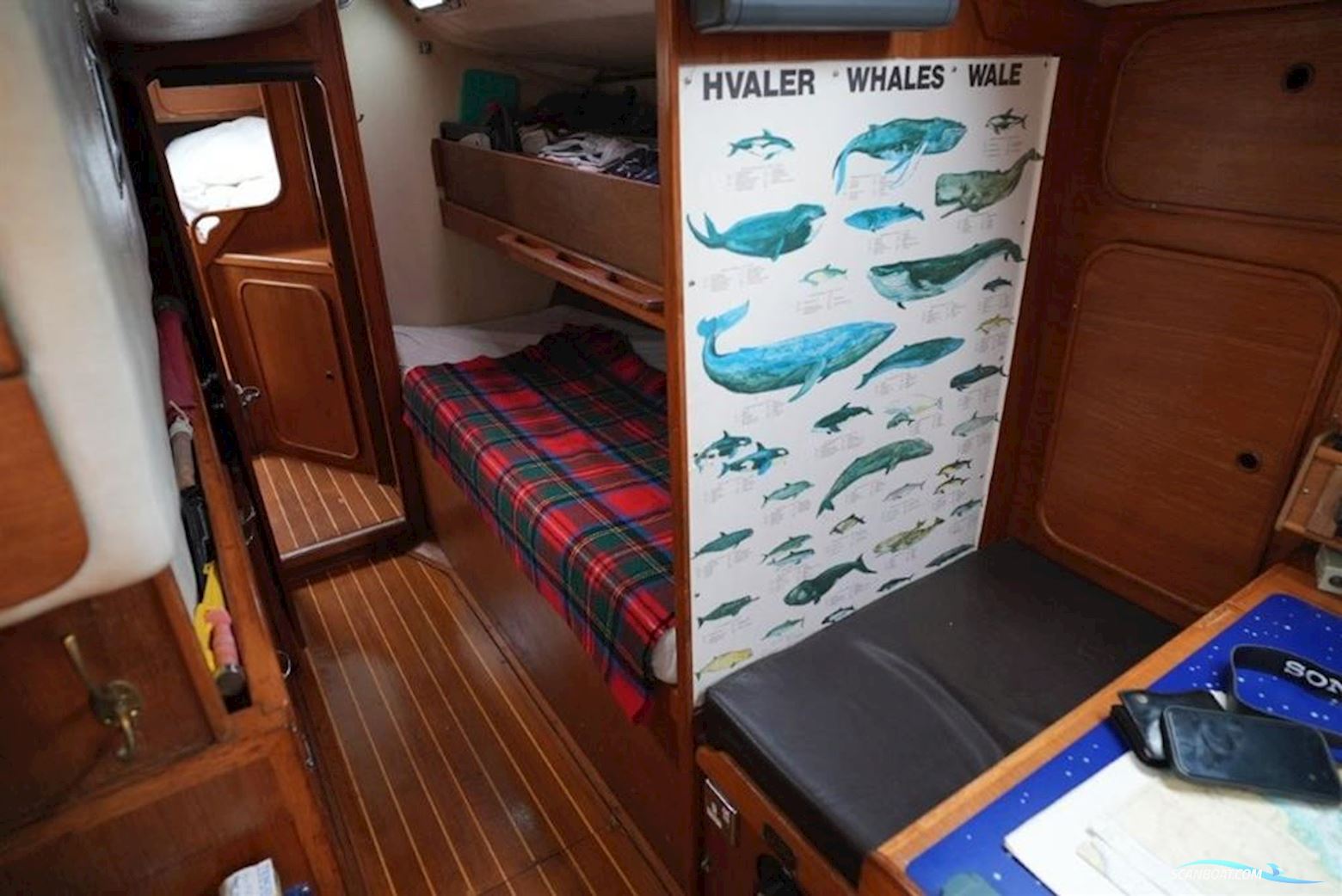 Westerly Sealord