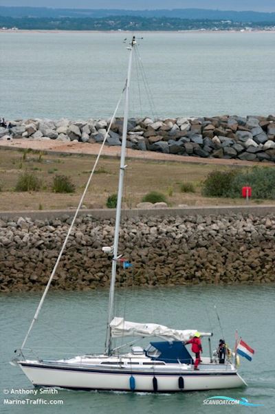 Westerly Typhoon 37 Zeilboten 1990, met Volvo Penta motor, The Netherlands