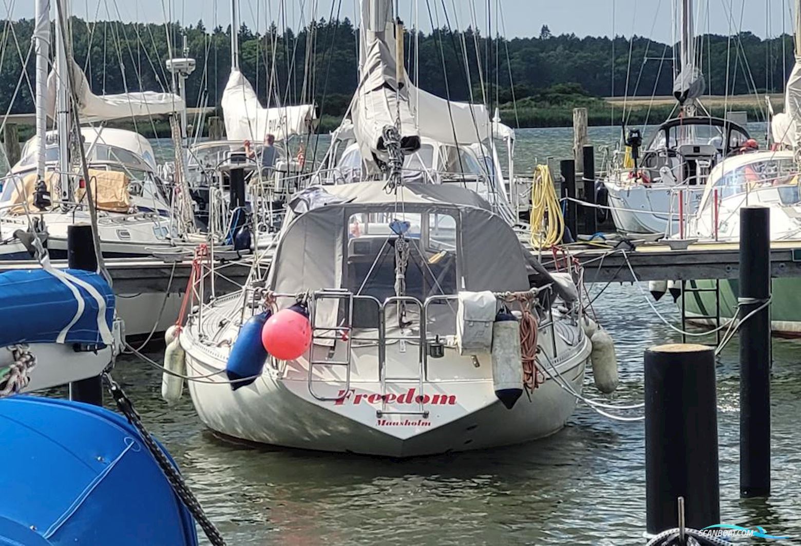 Widholm Beason 31