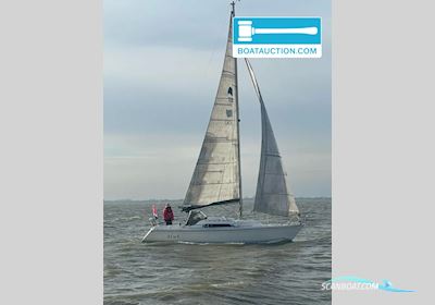Winner 950 Zeilboten 1995, met Yanmar motor, The Netherlands