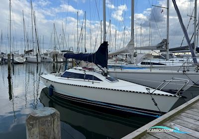X-79 X-Yachts Zeilboten 1984, met Mercury 5HK, Sailpower motor, Denemarken