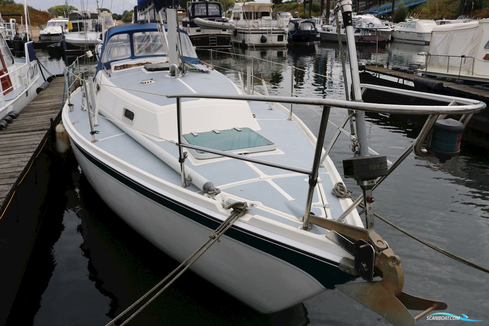Zeilboot Cal 31